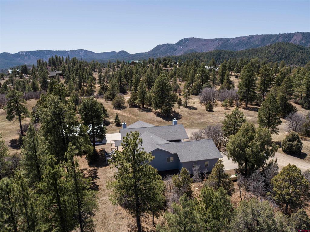 3049 Meadows Drive Pagosa Springs CO 81147