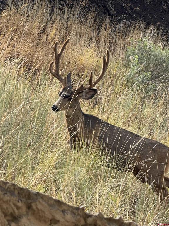 24 Sage Hill Court Durango CO 81301