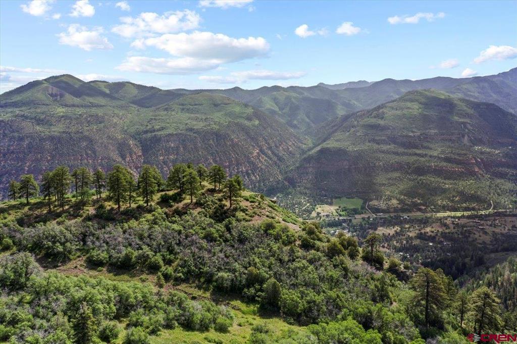 1600(2 Parcels) Elk Ridge Trail Ridgway CO 81432