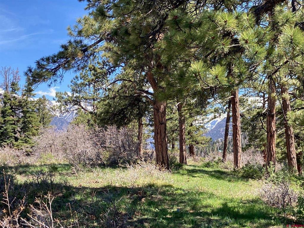 1600(2 Parcels) Elk Ridge Trail Ridgway CO 81432