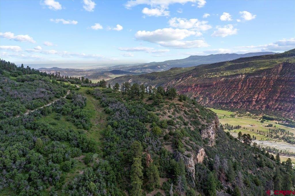 1600(2 Parcels) Elk Ridge Trail Ridgway CO 81432