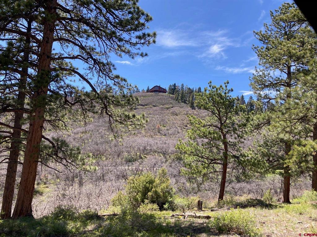 1600(2 Parcels) Elk Ridge Trail Ridgway CO 81432