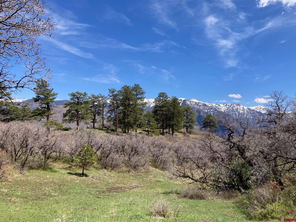 1600(2 Parcels) Elk Ridge Trail Ridgway CO 81432