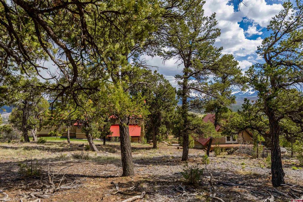 847 Pleasant Valley Drive Ridgway CO 81432