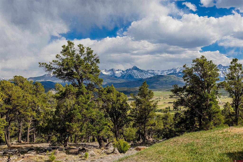 847 Pleasant Valley Drive Ridgway CO 81432