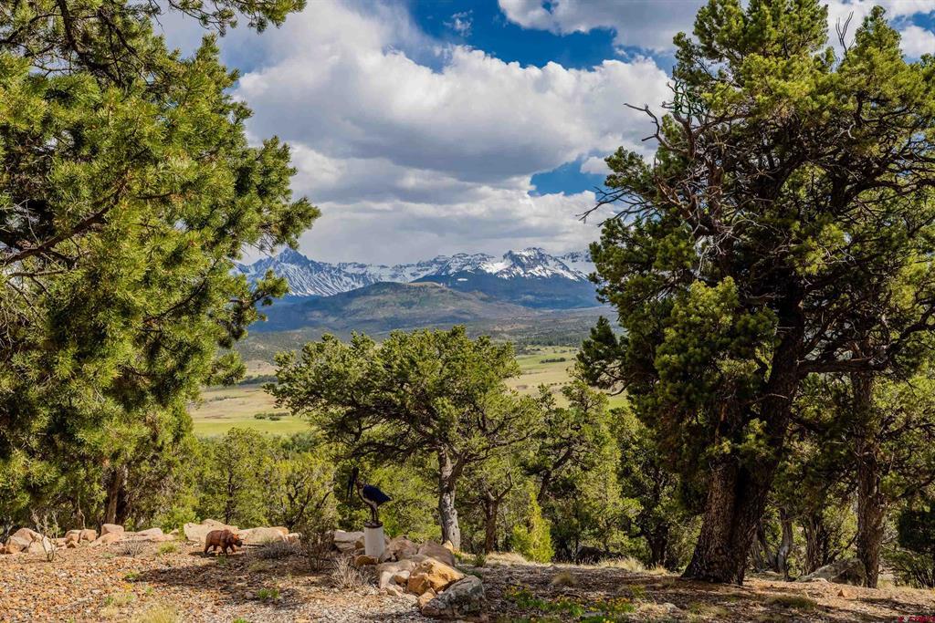 847 Pleasant Valley Drive Ridgway CO 81432