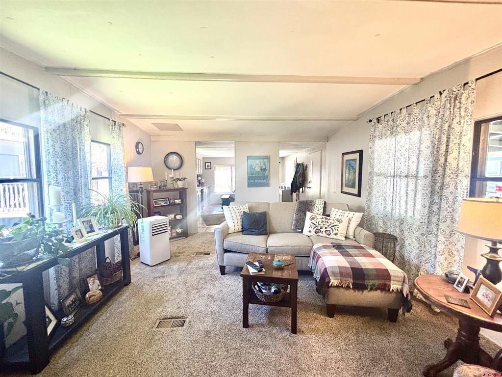 485 Florida Road Durango CO 81301