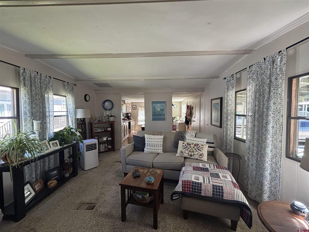485 Florida Road Durango CO 81301