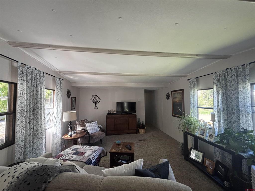 485 Florida Road Durango CO 81301