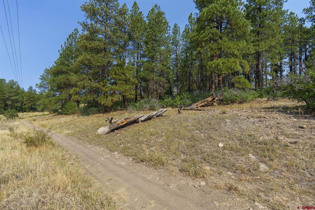 41 Moss Road Trail Durango CO 81303