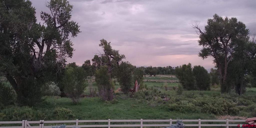 2909 Sarah Lane Alamosa CO 81101