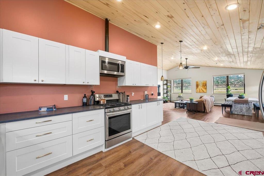 590 Palomino Trail Ridgway CO 81432