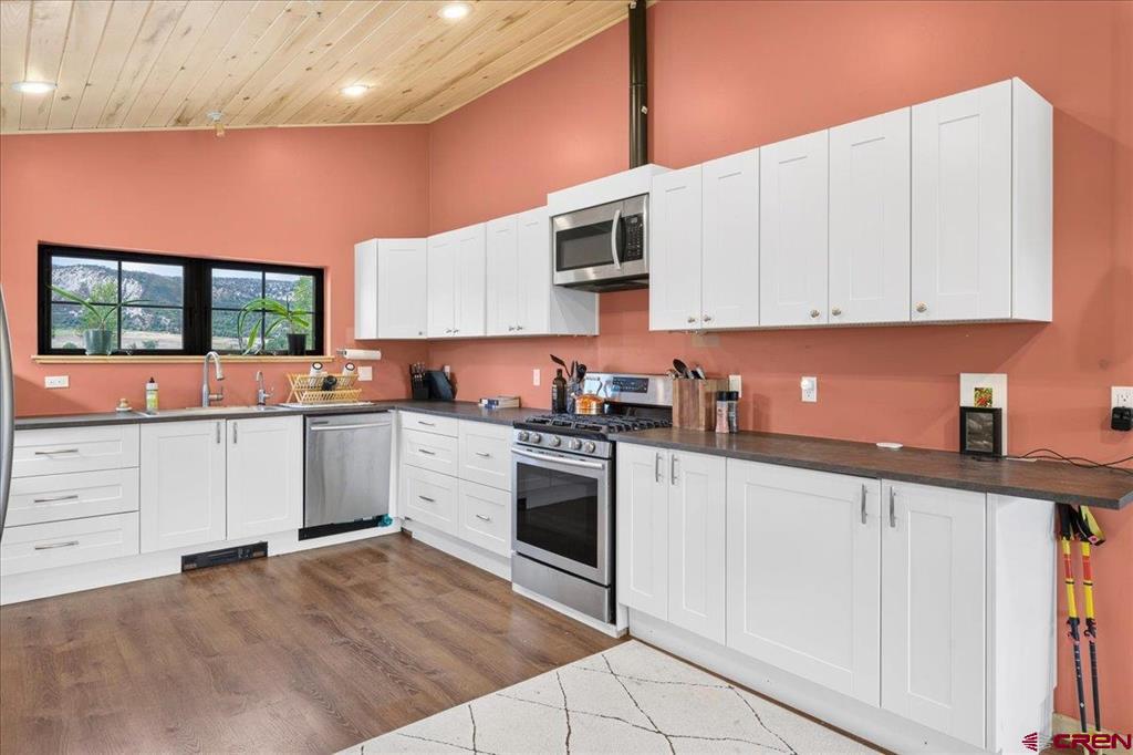590 Palomino Trail Ridgway CO 81432