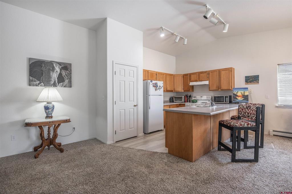 1652 Rhine Court Montrose CO 81401