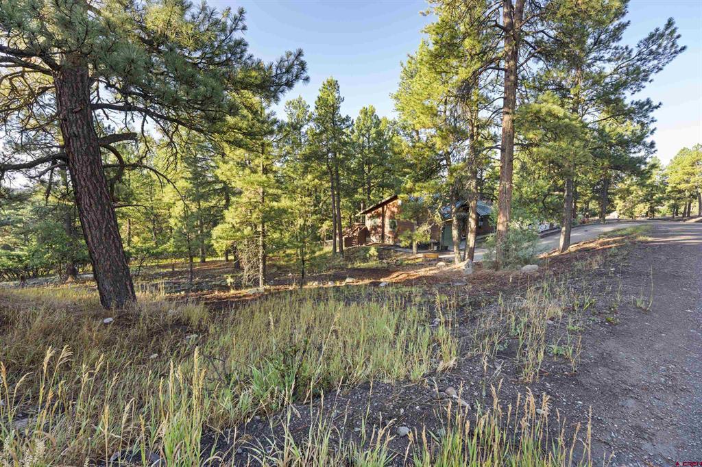 91 Gala Place Pagosa Springs CO 81147
