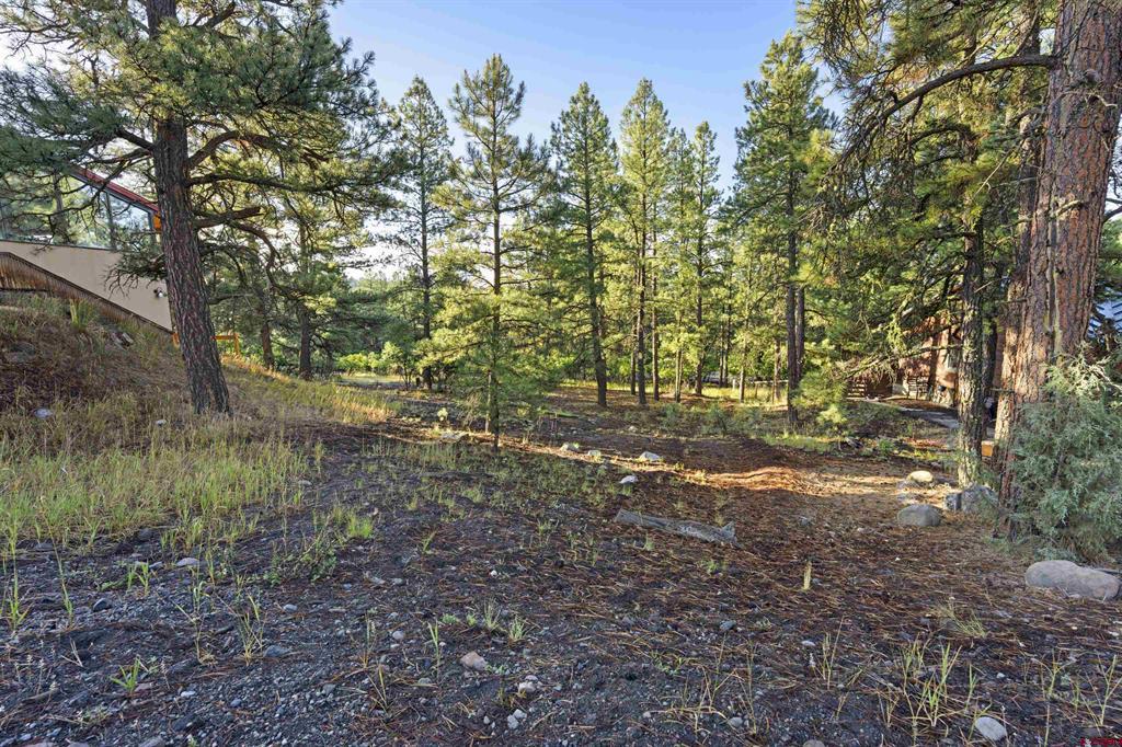91 Gala Place Pagosa Springs CO 81147