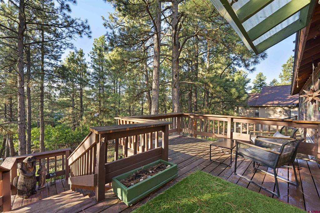 91 Gala Place Pagosa Springs CO 81147