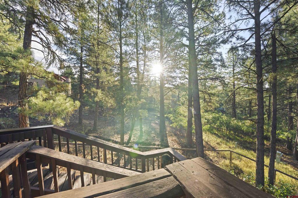 91 Gala Place Pagosa Springs CO 81147