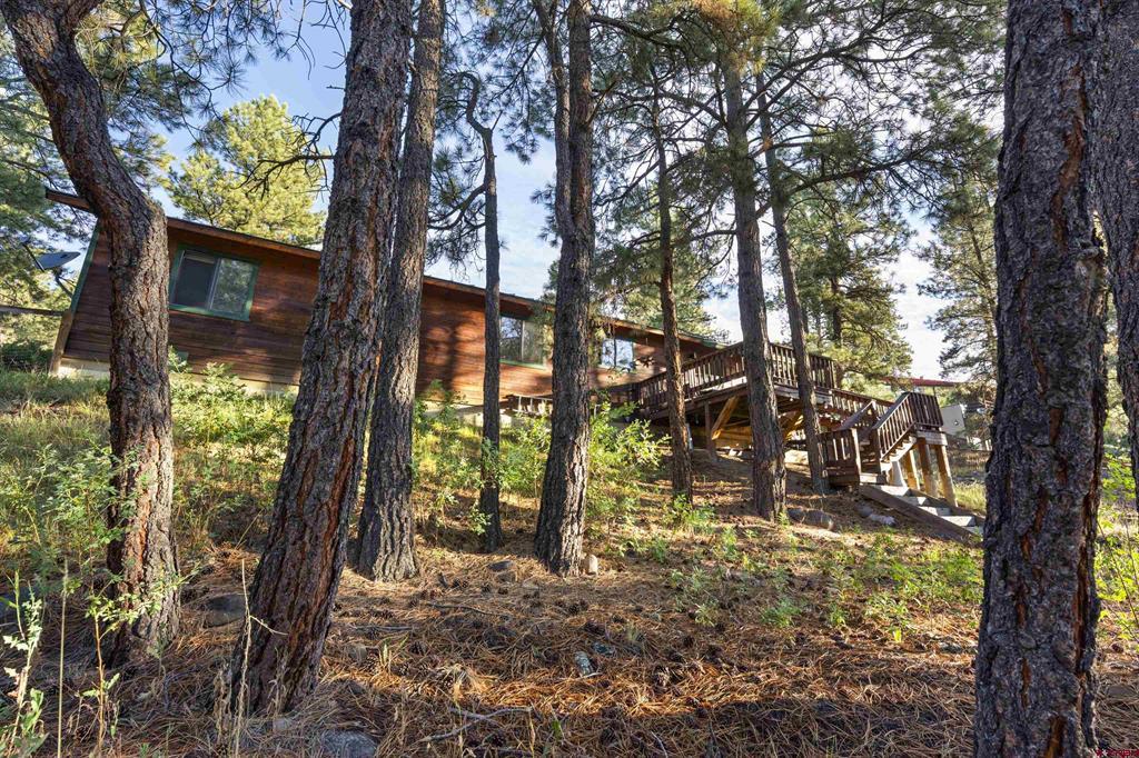 91 Gala Place Pagosa Springs CO 81147