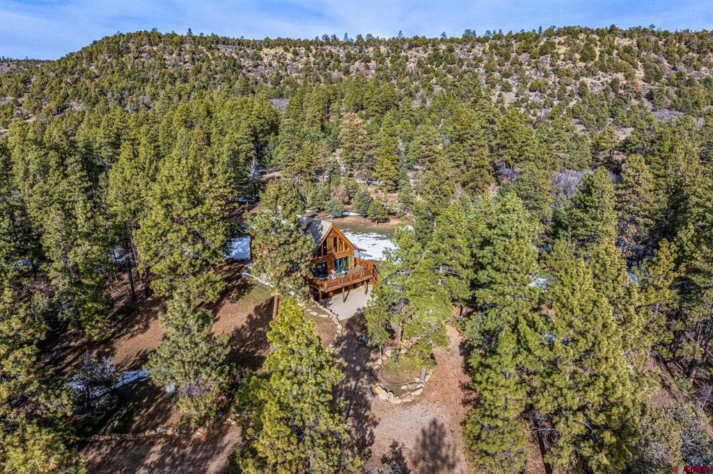 2456 Gem Lane Bayfield CO 81122