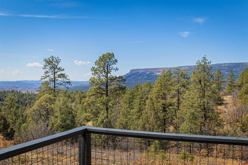 609 S Black Bear Pagosa Springs CO 81147