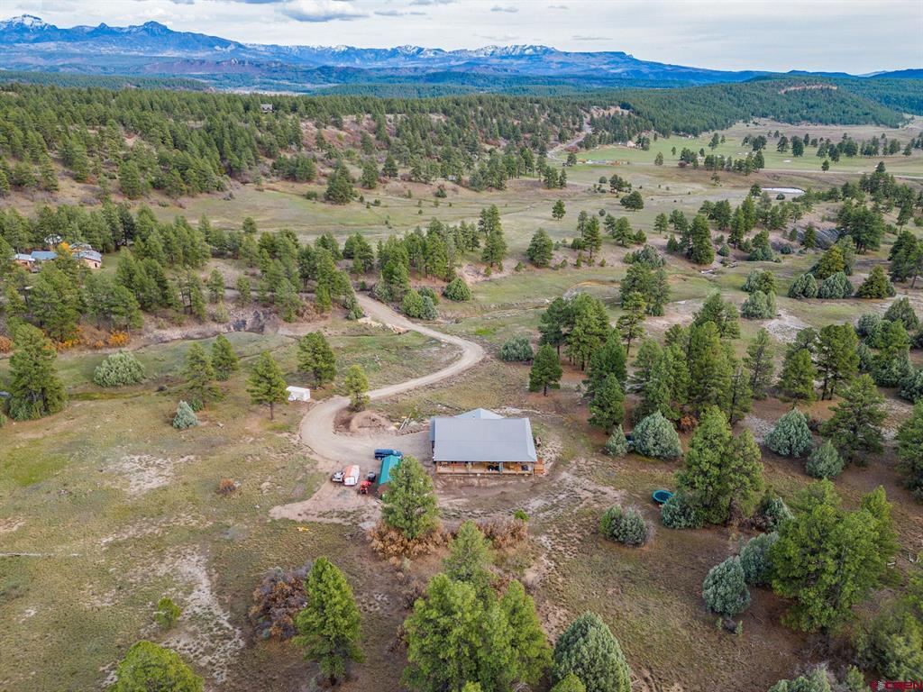 1057 E Mccabe Street Pagosa Springs CO 81147