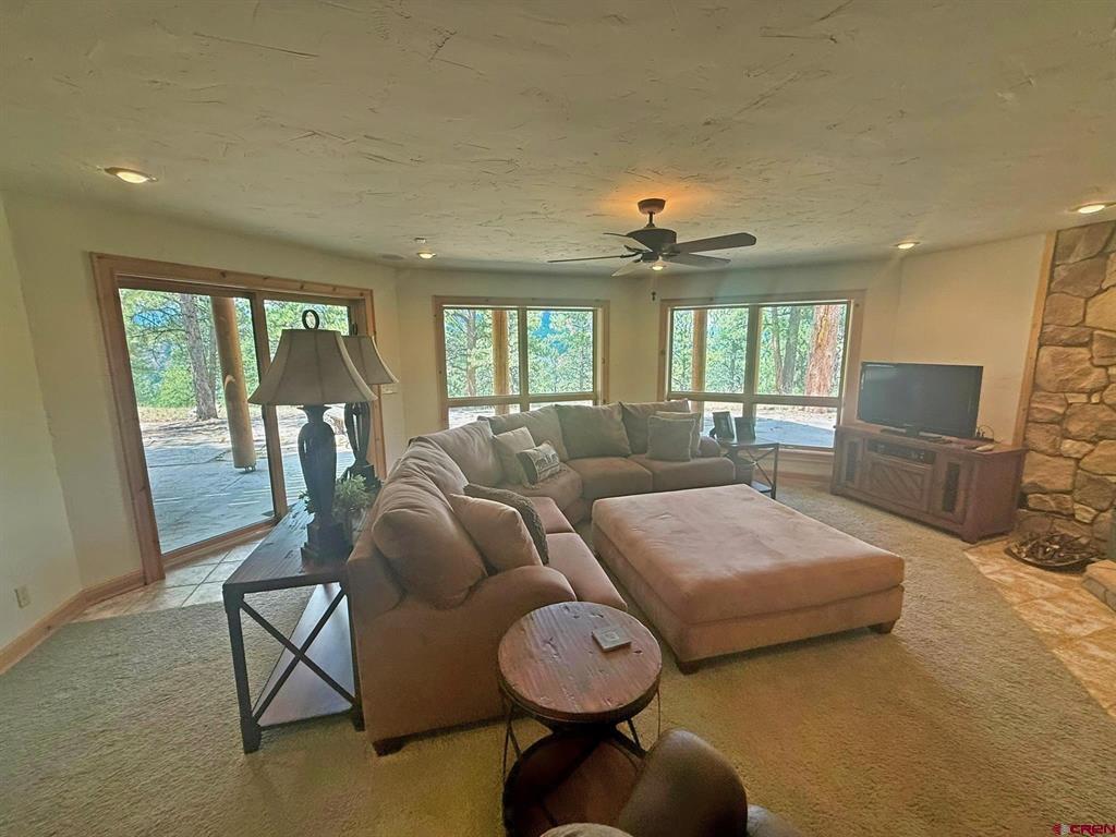 243 N Skyline Drive South Fork CO 81154