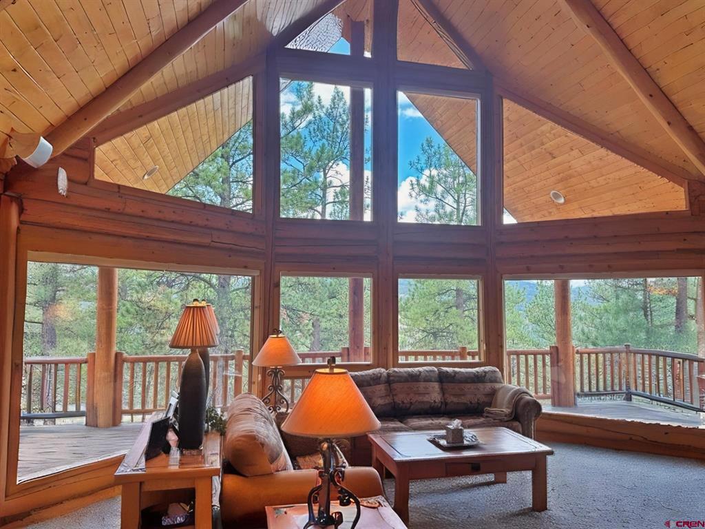243 N Skyline Drive South Fork CO 81154