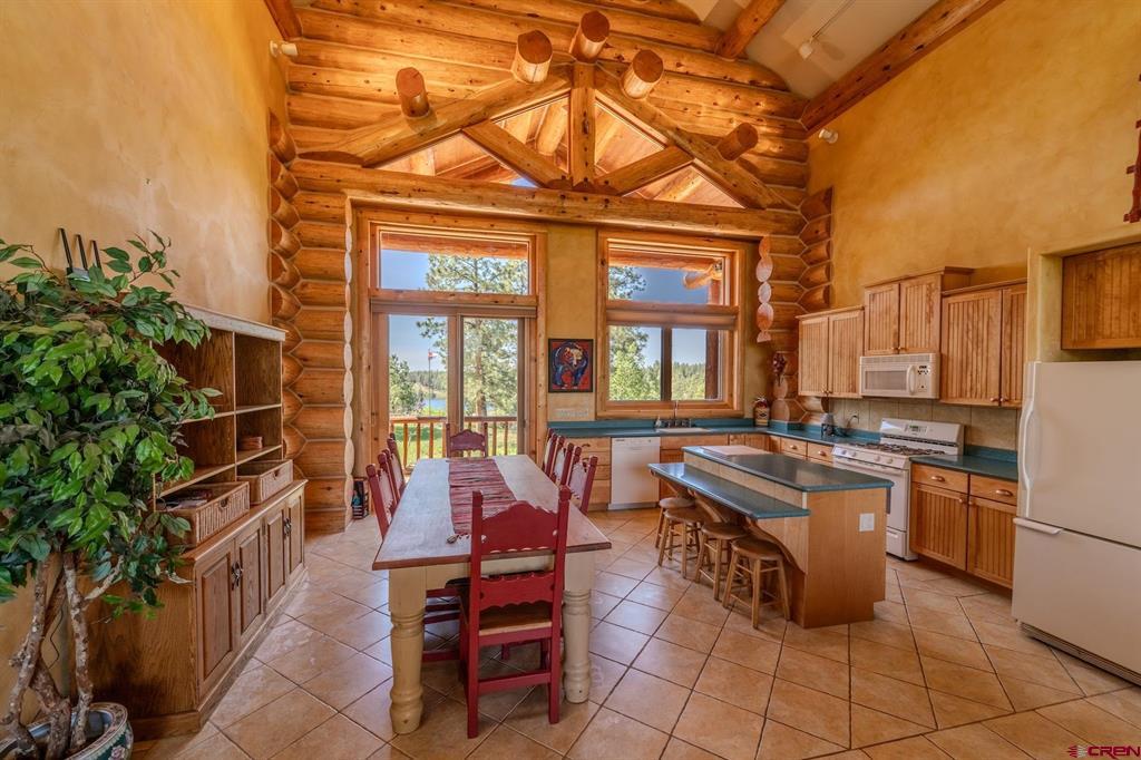 3101 Hidden Valley Drive Pagosa Springs CO 81147