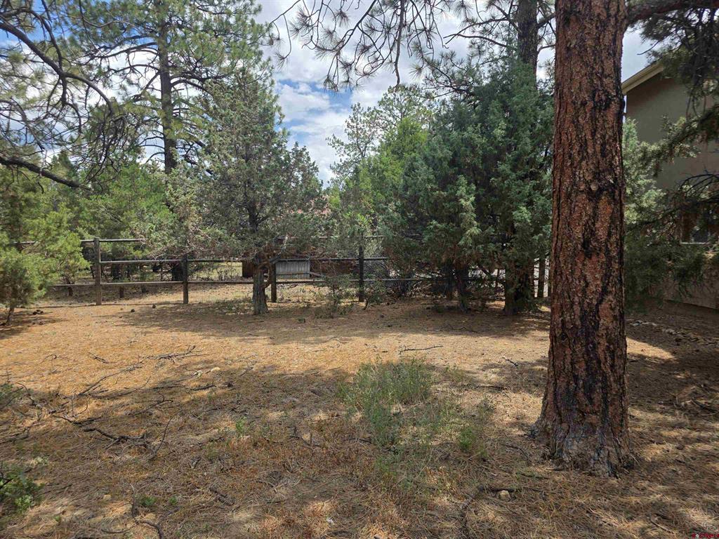 709 Ponderosa Drive Ridgway CO 81432