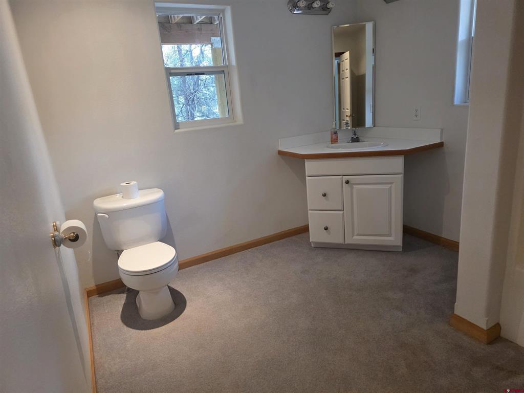 709 Ponderosa Drive Ridgway CO 81432