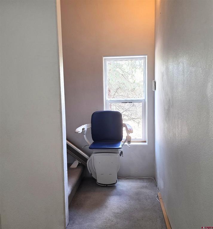 709 Ponderosa Drive Ridgway CO 81432