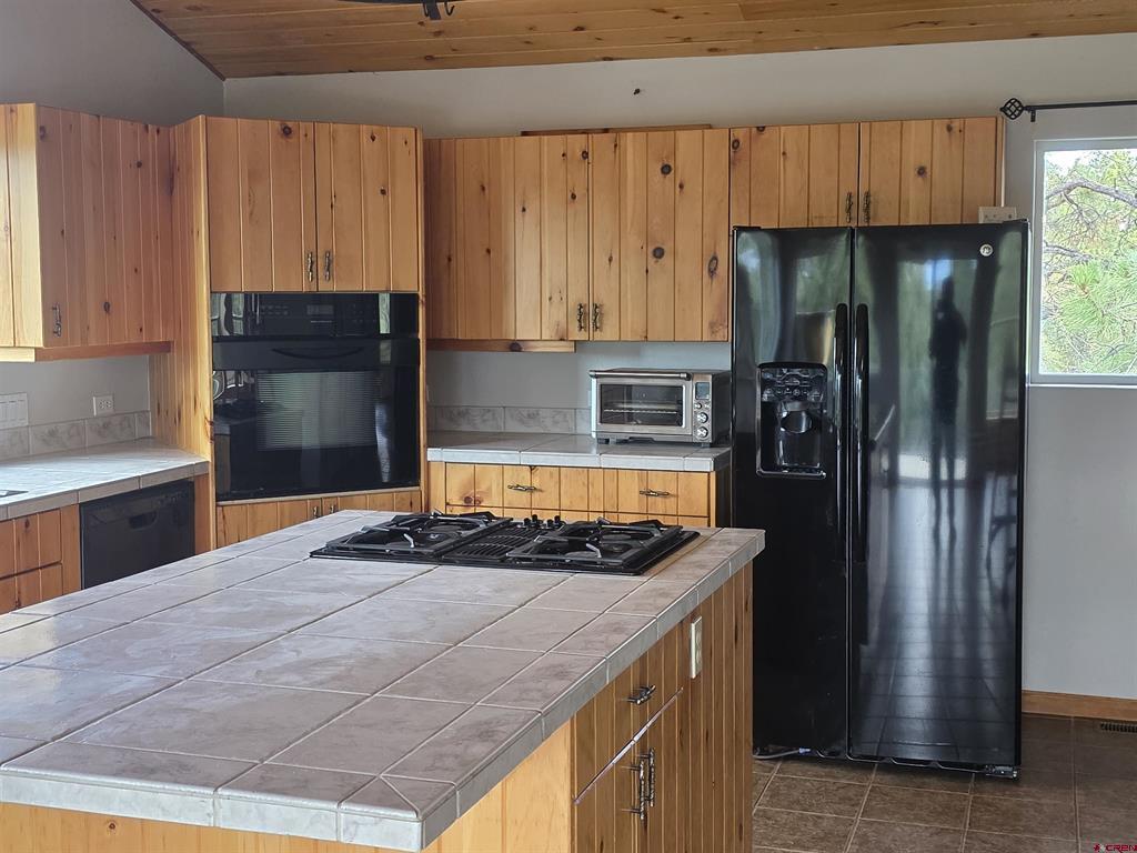 709 Ponderosa Drive Ridgway CO 81432