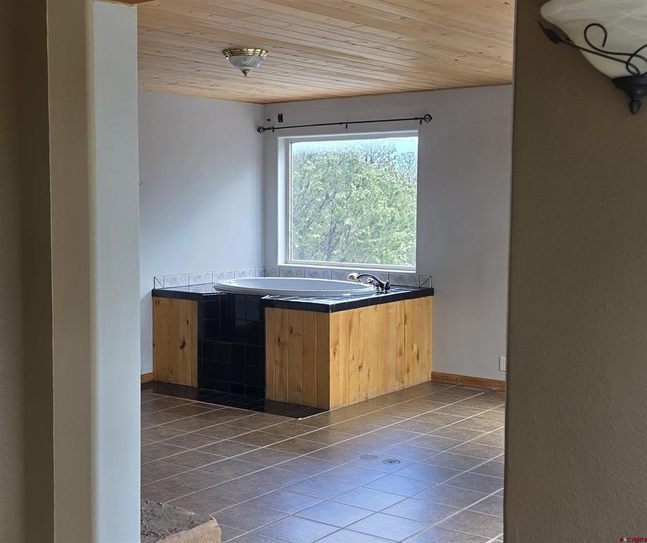 709 Ponderosa Drive Ridgway CO 81432