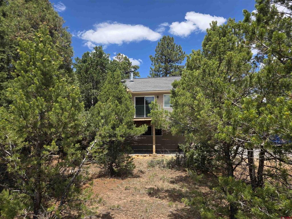 709 Ponderosa Drive Ridgway CO 81432