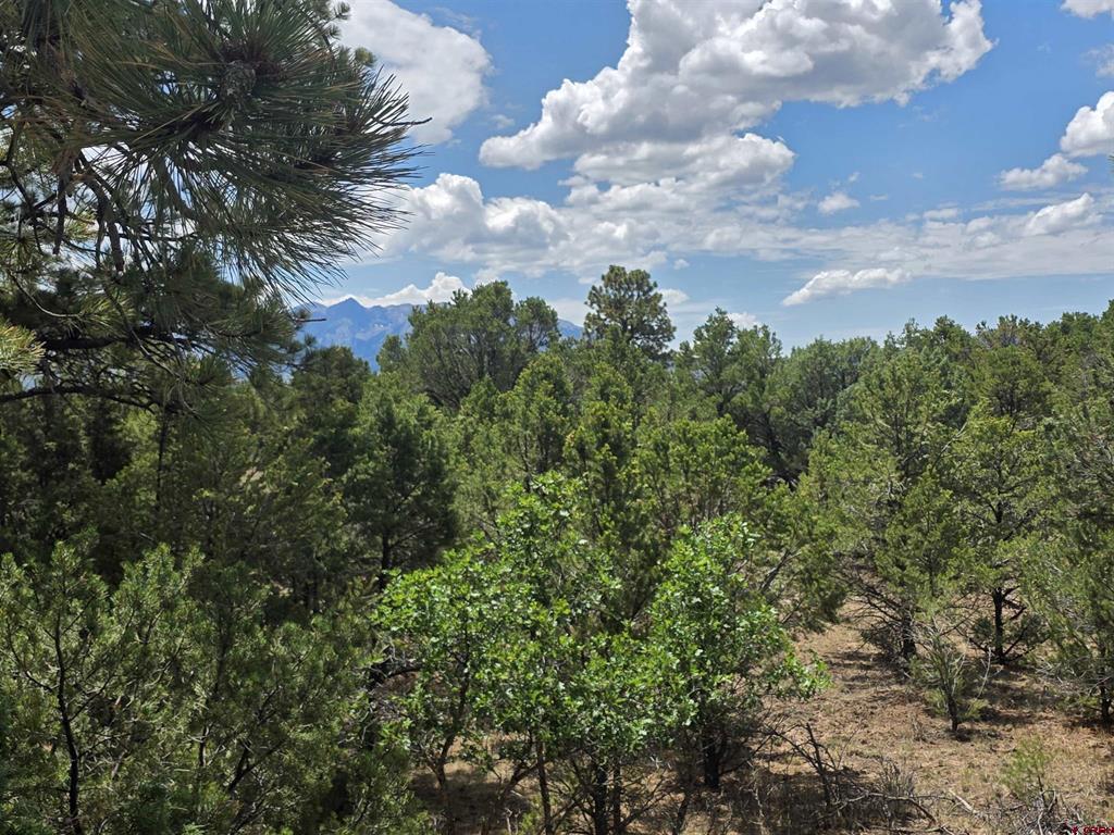 709 Ponderosa Drive Ridgway CO 81432