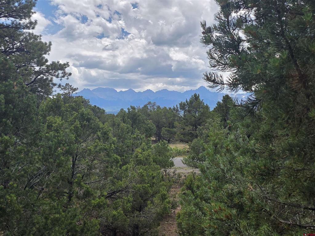 709 Ponderosa Drive Ridgway CO 81432