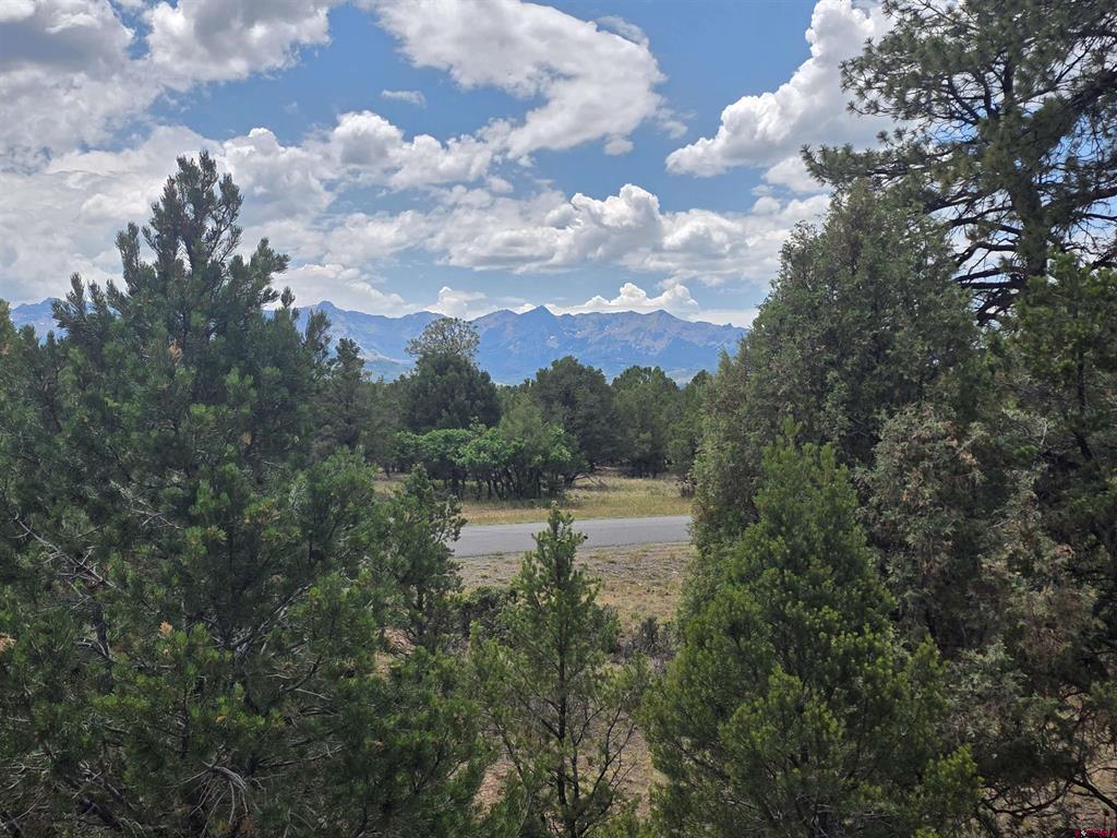 709 Ponderosa Drive Ridgway CO 81432