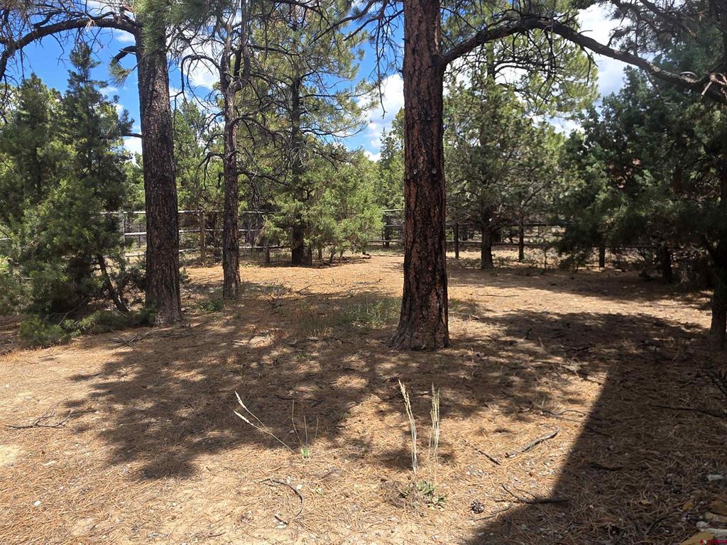 709 Ponderosa Drive Ridgway CO 81432