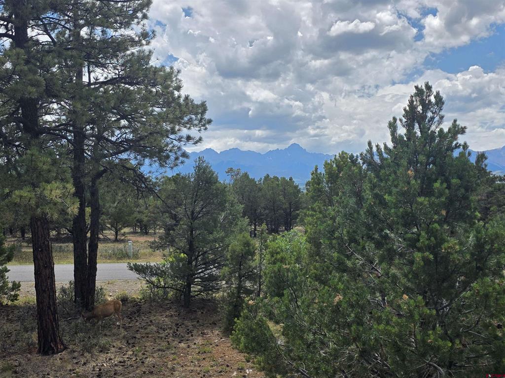 709 Ponderosa Drive Ridgway CO 81432