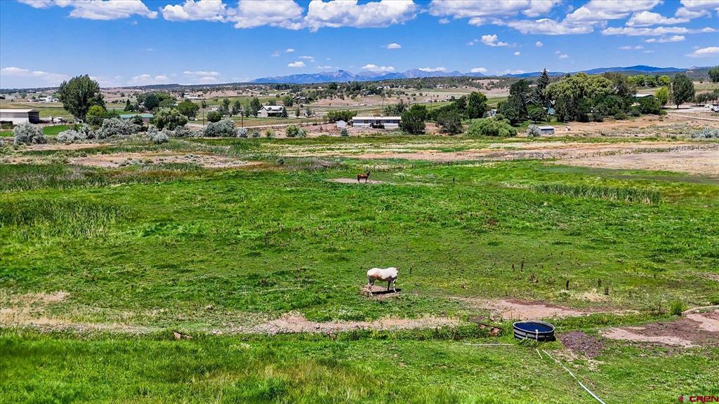 164 Sandia Circle Bayfield CO 81122