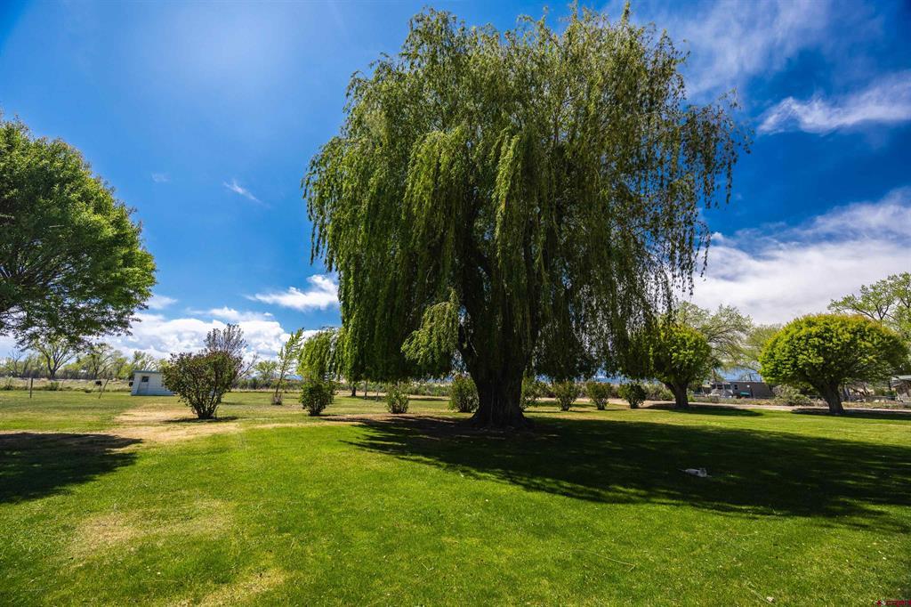 64372 Jig Road Montrose CO 81401