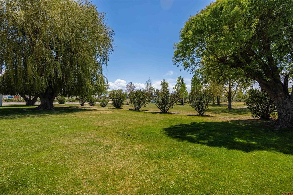 64372 Jig Road Montrose CO 81401