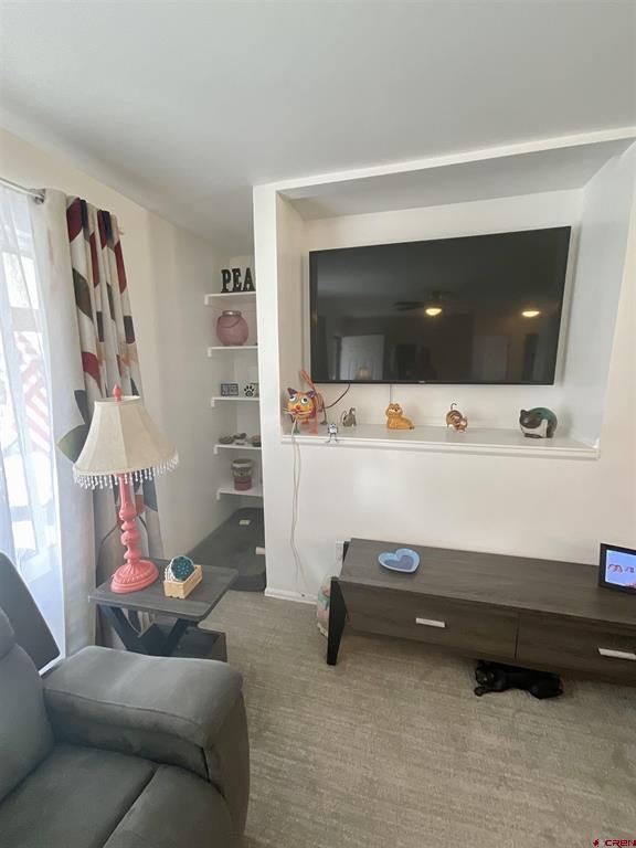 122 Spruce Drive Montrose CO 81401