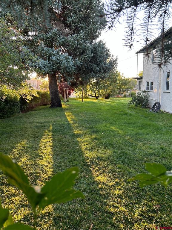 144 S Market Street Cortez CO 81321