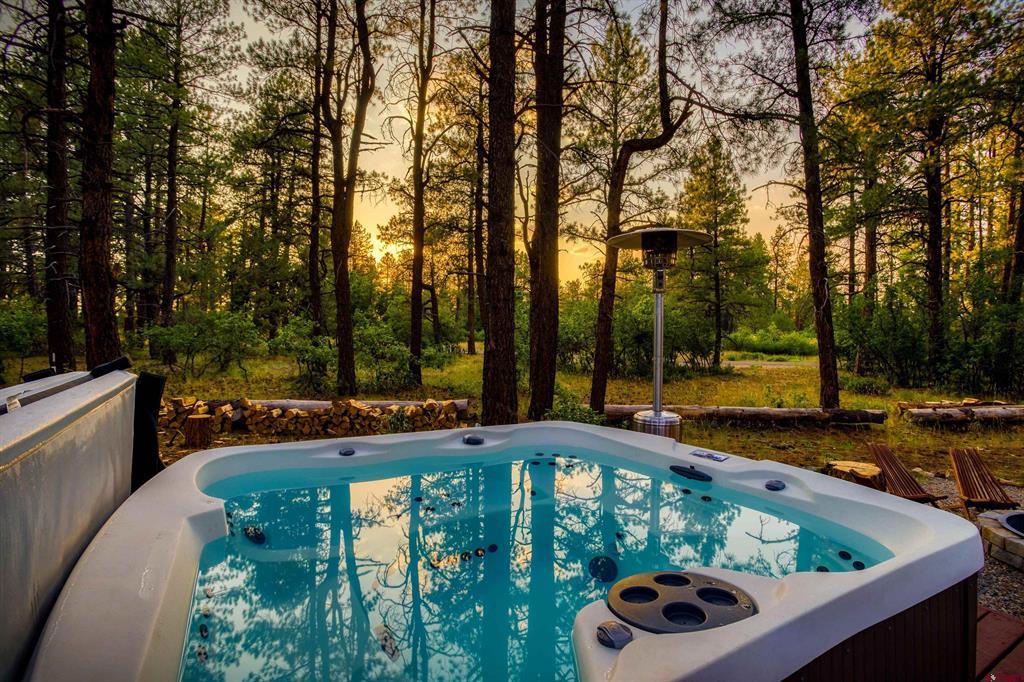 3700A County Road 600 Pagosa Springs CO 81147