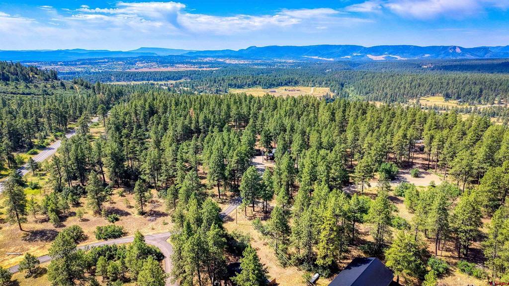 3700A County Road 600 Pagosa Springs CO 81147