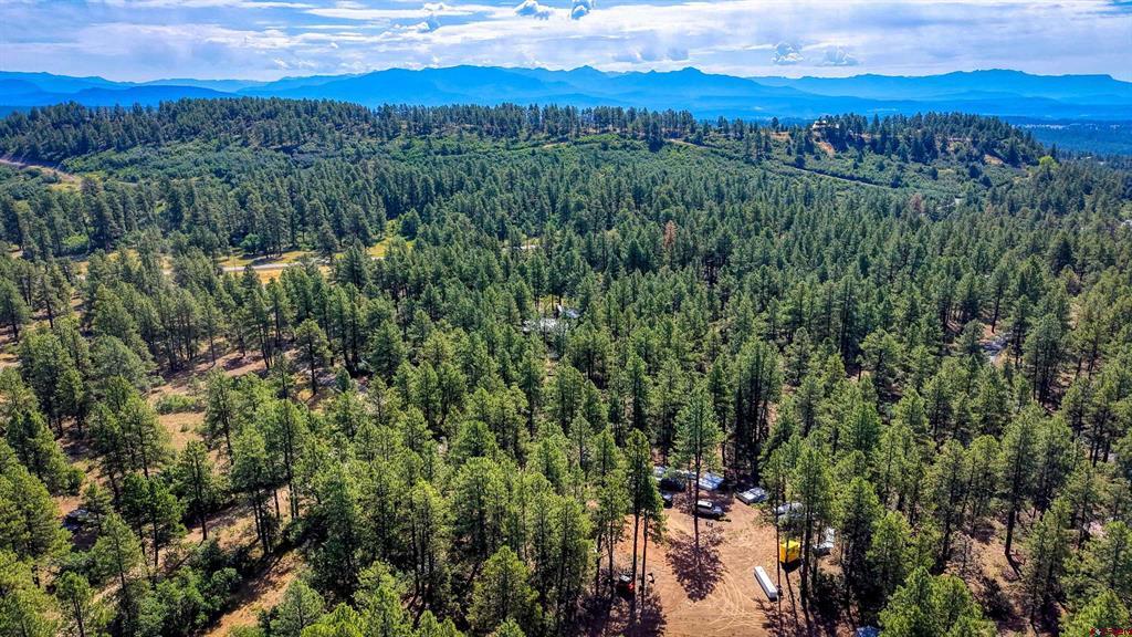 3700A County Road 600 Pagosa Springs CO 81147