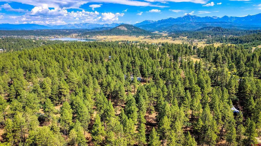 3700A County Road 600 Pagosa Springs CO 81147