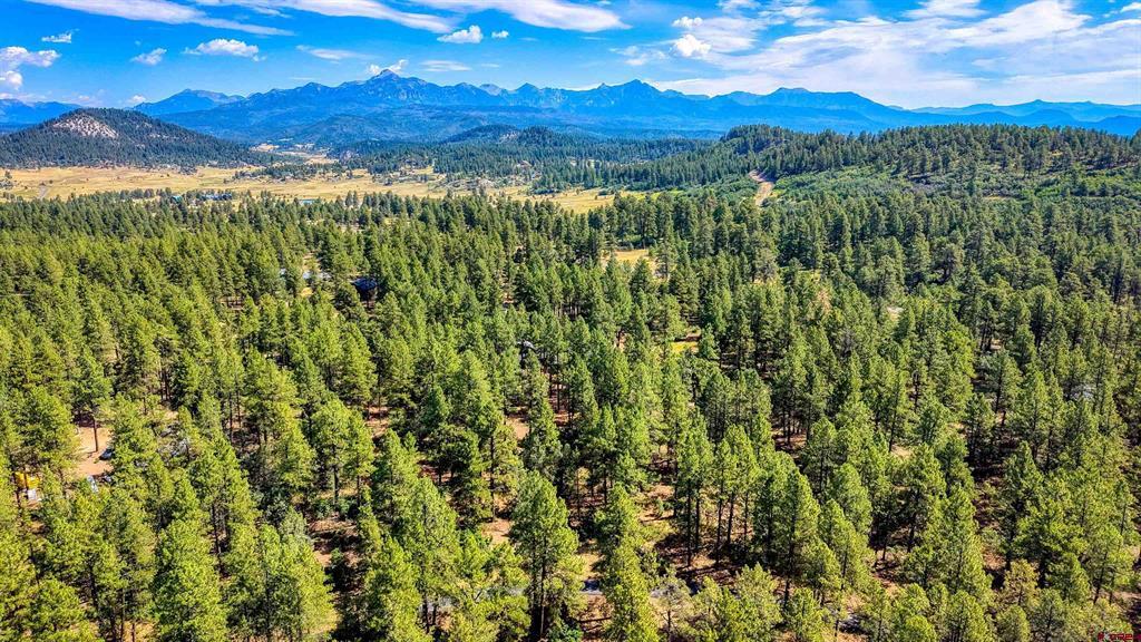 3700A County Road 600 Pagosa Springs CO 81147